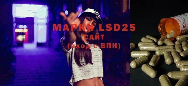 мяу мяу мука Абаза