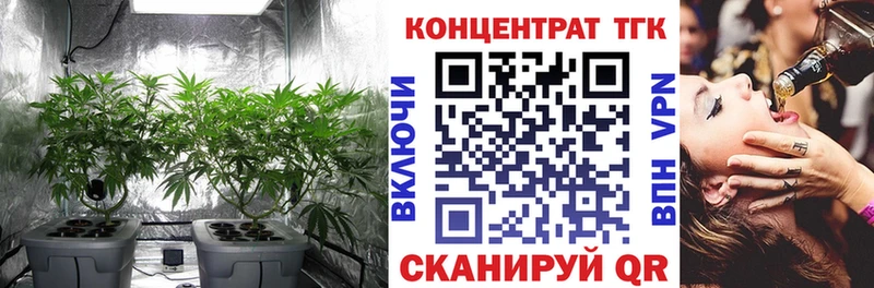 ТГК THC oil  OMG   Староминская 